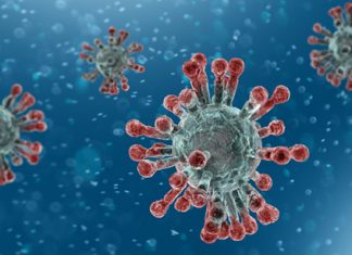 Predicții în Ontario: Cum ar putea evolua COVID-19 în această provincie?