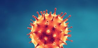 Chiar și cu măsuri stricte de izolare, până la 22.000 de decese cauzate de COVID-19 s-ar putea înregistra în Canada