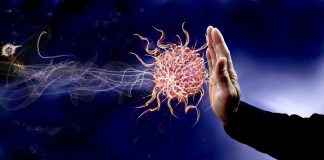 Cum poate fi întărit sistemul imunitar?