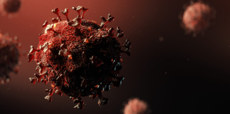 Coronavirusul s-a răspândit rapid la sfârșitul anului 2019 și a suferit mai multe mutații