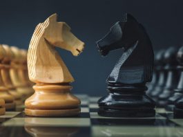 Cele mai bune deschideri în șah pentru începători: Jocul celor doi cai