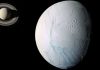 Există forme de viață în oceanul de pe Enceladus?