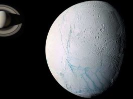 Există forme de viață în oceanul de pe Enceladus?