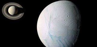 Există forme de viață în oceanul de pe Enceladus?