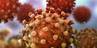 Mutațiile coronavirusului