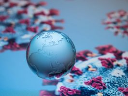 Analiză | Despre originea noului coronavirus