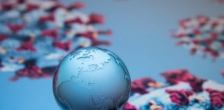 Analiză | Despre originea noului coronavirus