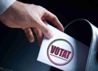 Alegeri parlamentare în România: Pașii de urmat pentru înscrierea ca votant prin corespondență