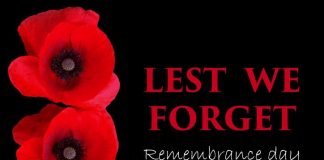 11 noiembrie, ziua comemorării soldaților căzuți la datorie