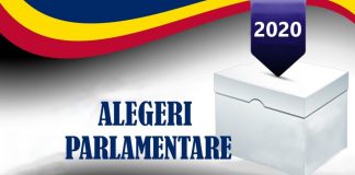 Alegeri parlamentare în România: Votul la secția de votare în Canada