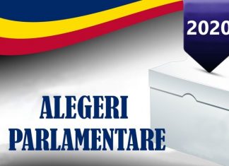 Alegeri parlamentare în România: Votul la secția de votare în Canada