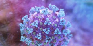 Reflecții canadeze | Nu vă dați cu DDT