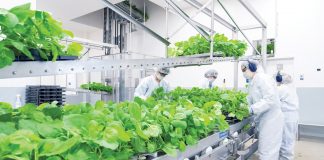 Rezultate promițătoare privind vaccinul canadian dezvoltat de Medicago