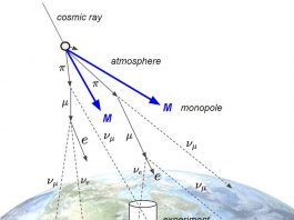 În căutarea monopolilor magnetici