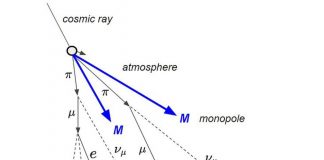 În căutarea monopolilor magnetici