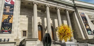 O vizită la muzeu. Expoziții temporare 2022-2023