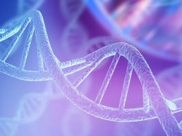 Genele care au oferit protecție în timpul epidemiei de ciumă bubonică ar putea acum spori incidența bolilor autoimune