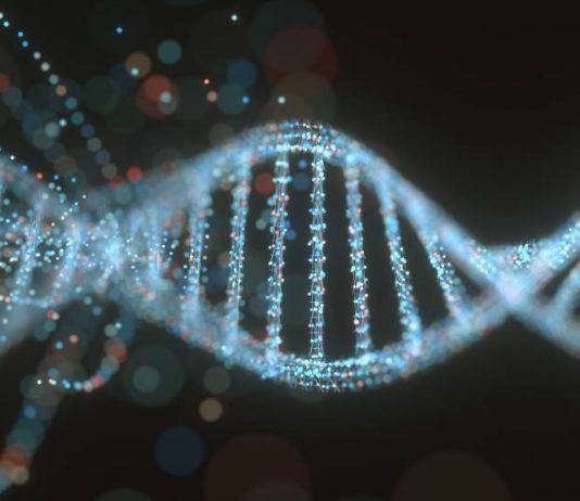 Continuă oamenii să evolueze?