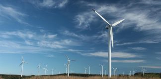 Cinci mituri privind turbinele eoliene