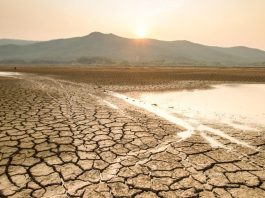 Planeta va depăși pragul încălzirii globale de 1,5 grade Celsius până în 2027