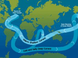 Curentul Atlantic sau Curentul Antarctic: Care se va opri mai întâi?
