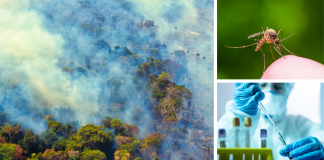 Criza climatică este și o criză de sănătate