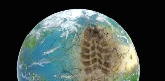 2024, anul Antropocenului