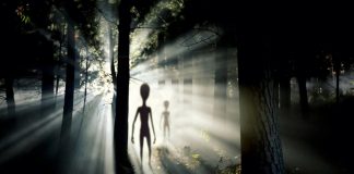 De ce nu ne-au contactat extratereștrii? Ipoteza pădurii întunecate