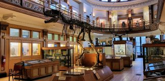 Cea mai veche clădire muzeală din Canada se află la Montreal