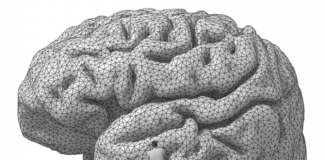 Cât de simplu este să transferăm mintea pe un computer?