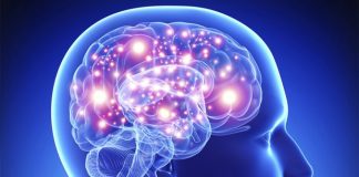 Cinci obiceiuri simple pentru îmbunătăţirea memoriei