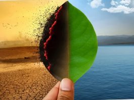 Legătura dintre climat și imunitate