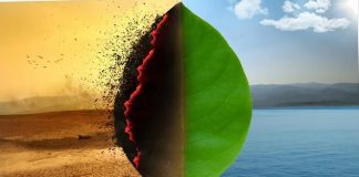 Legătura dintre climat și imunitate