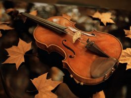 Romantism la superlativ: Cină și concert cu virtuozul violonist Florian Costache la Hotelul Crown Plaza