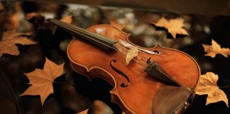 Romantism la superlativ: Cină și concert cu virtuozul violonist Florian Costache la Hotelul Crown Plaza