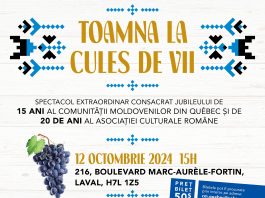 Aniversare CMQ și ACR: 15 și respectiv 20 de ani de activitate