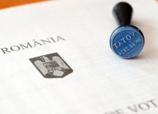 Alegeri parlamentare 2024. Cu ce documente se poate vota în diaspora?