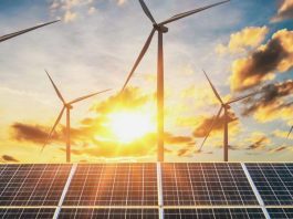 Energiile verzi: Revenirea lui Trump la Casa Albă și oportunitatea Chinei