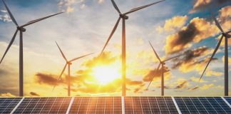 Energiile verzi: Revenirea lui Trump la Casa Albă și oportunitatea Chinei