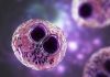 Un virus comun provoacă un cancer cerebral grav