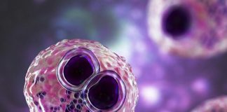 Un virus comun provoacă un cancer cerebral grav
