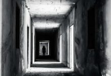 Cum îi duce curiozitatea morbidă pe oameni către teoriile conspirației