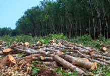 Quebec: Războiul comercial riscă să afecteze mediul înconjurător