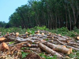 Quebec: Războiul comercial riscă să afecteze mediul înconjurător