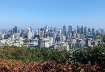 Alegeri municipale în Quebec: Care sunt competențele și structura puterii la nivel municipal?