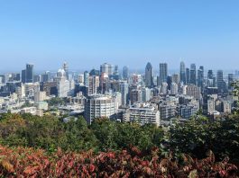 Alegeri municipale în Quebec: Care sunt competențele și structura puterii la nivel municipal?