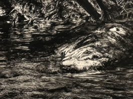 Peter Krausz — Opere recente în două expoziții la Montreal