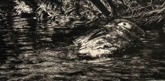 Peter Krausz — Opere recente în două expoziții la Montreal