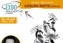 Cătălina Maftei: Pictura tradițională japoneză sumi-e. Sensuri și valențe ale cotidianului într-o expoziție AAPARS