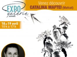 Cătălina Maftei: Pictura tradițională japoneză sumi-e. Sensuri și valențe ale cotidianului într-o expoziție AAPARS